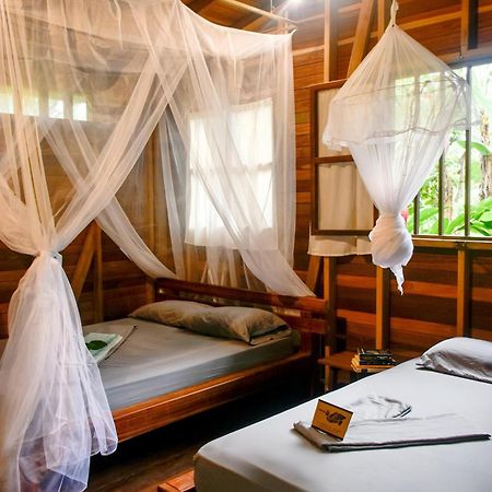 La Tarima Del Colibri Ecolodge El Valle  Exteriör bild