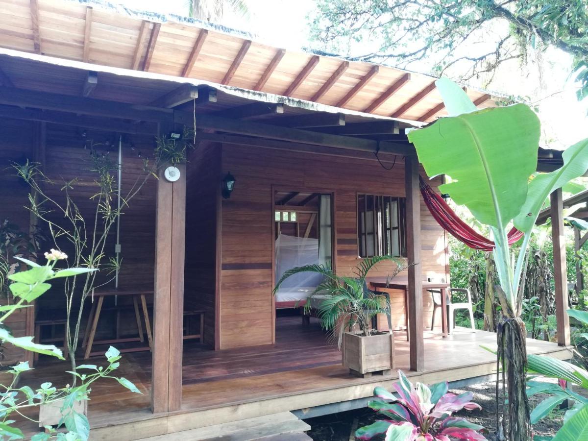 La Tarima Del Colibri Ecolodge El Valle  Exteriör bild