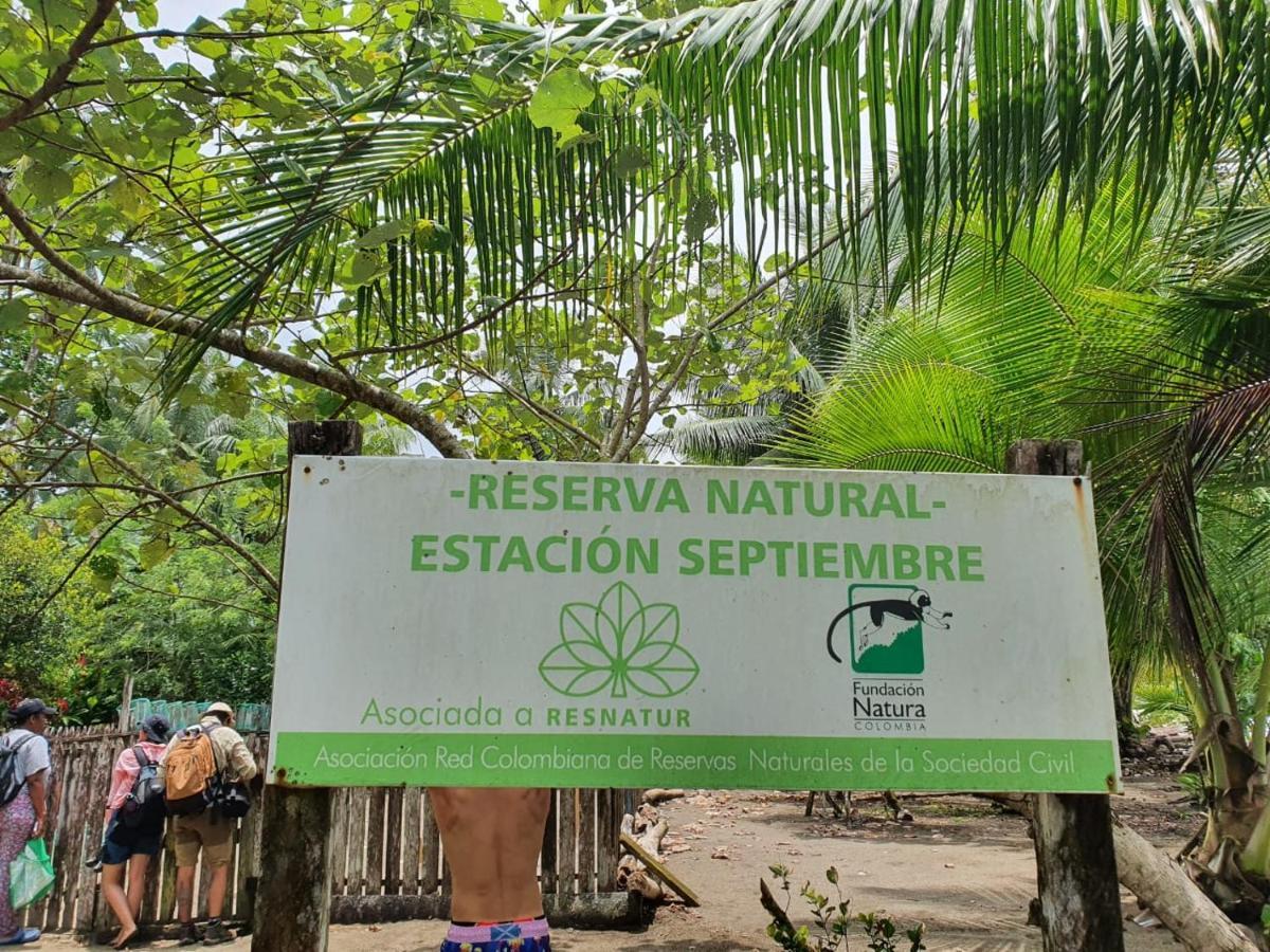 La Tarima Del Colibri Ecolodge El Valle  Exteriör bild