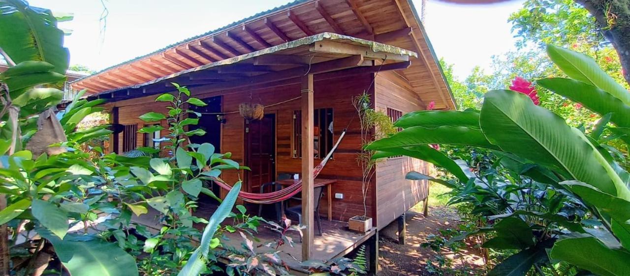 La Tarima Del Colibri Ecolodge El Valle  Exteriör bild