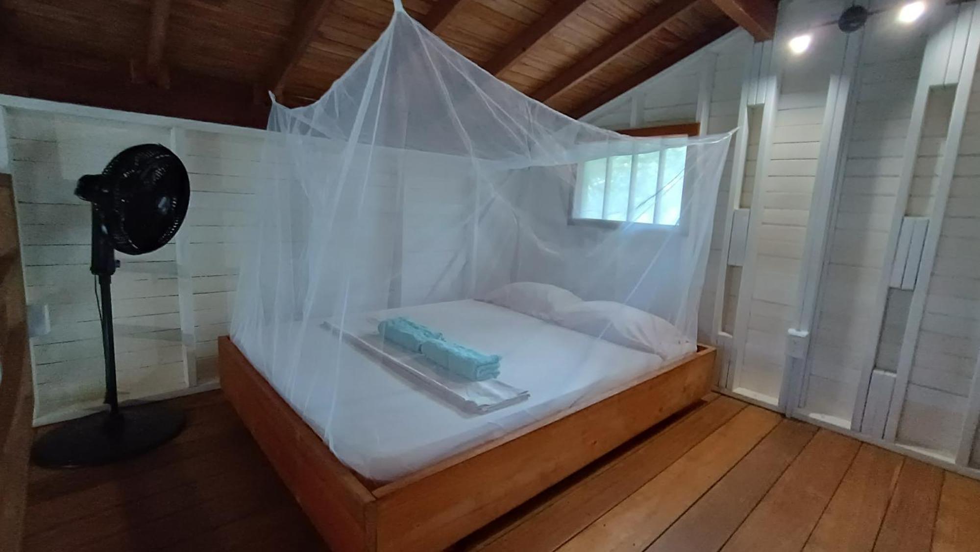 La Tarima Del Colibri Ecolodge El Valle  Exteriör bild