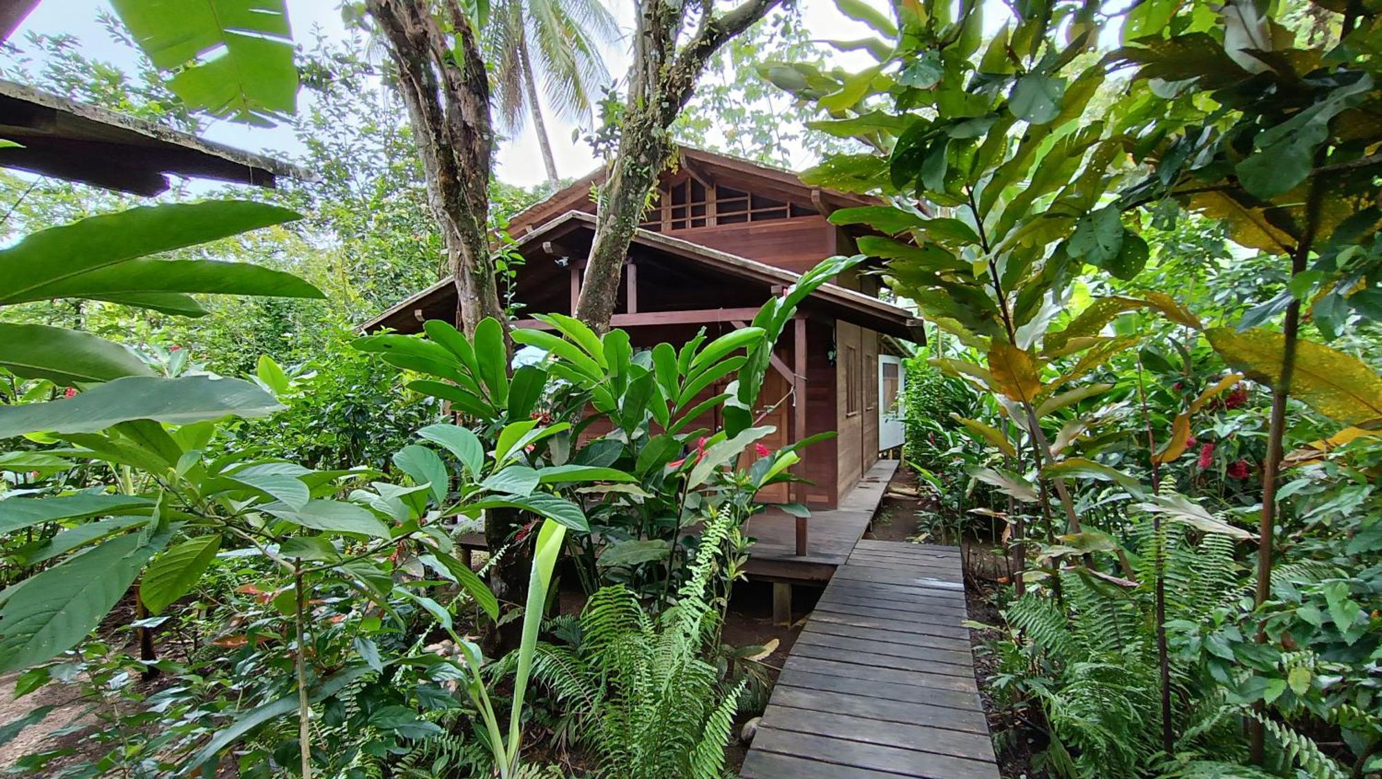 La Tarima Del Colibri Ecolodge El Valle  Exteriör bild