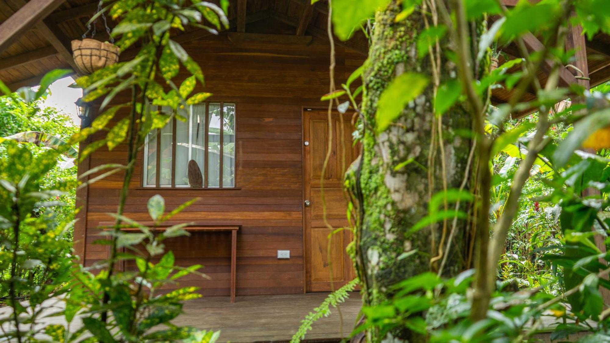 La Tarima Del Colibri Ecolodge El Valle  Exteriör bild