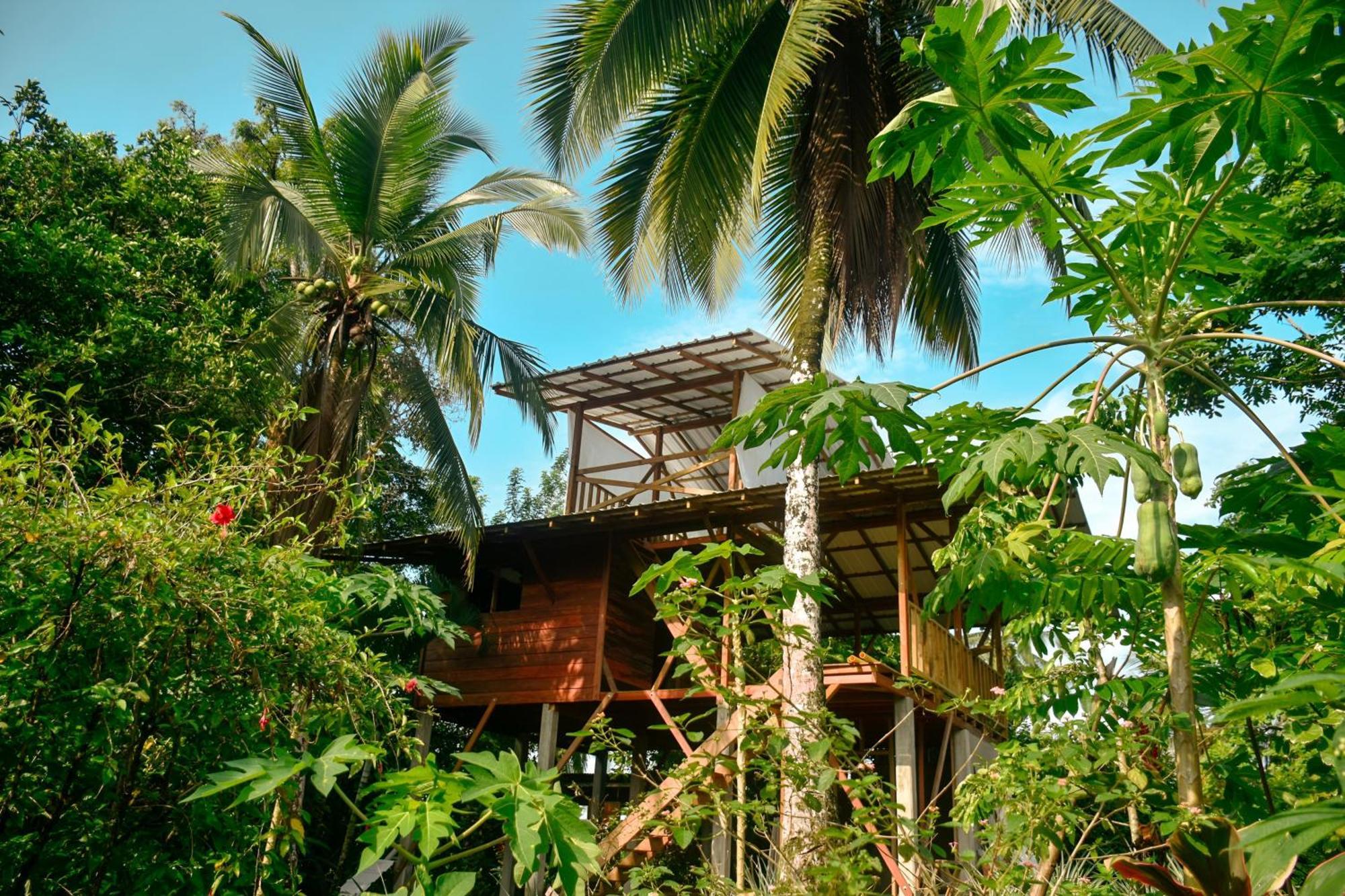 La Tarima Del Colibri Ecolodge El Valle  Exteriör bild